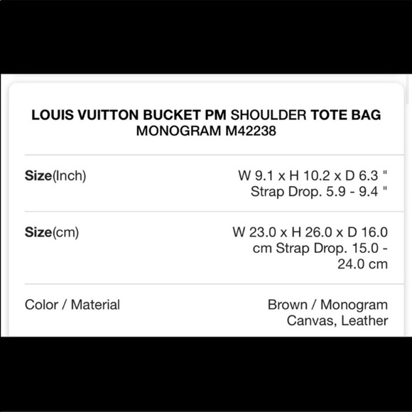 Authentic Louis Vuitton PM Bucket Bag - Picture 3 of 16